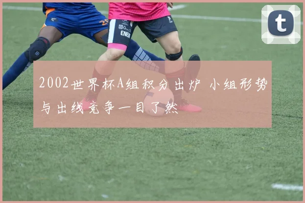 2002世界杯A组积分出炉 小组形势与出线竞争一目了然