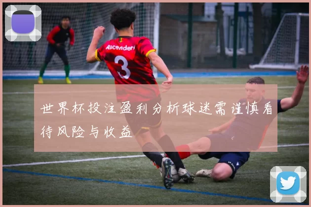 世界杯投注盈利分析球迷需谨慎看待风险与收益