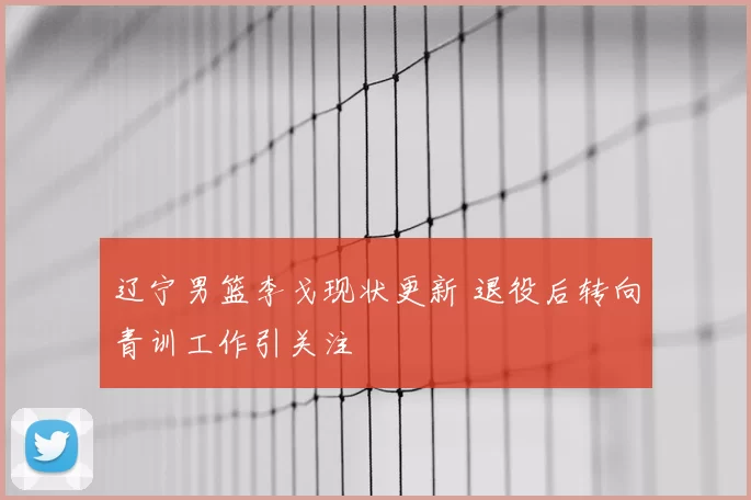 辽宁男篮李戈现状更新 退役后转向青训工作引关注