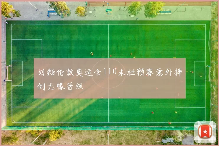 刘翔伦敦奥运会110米栏预赛意外摔倒无缘晋级