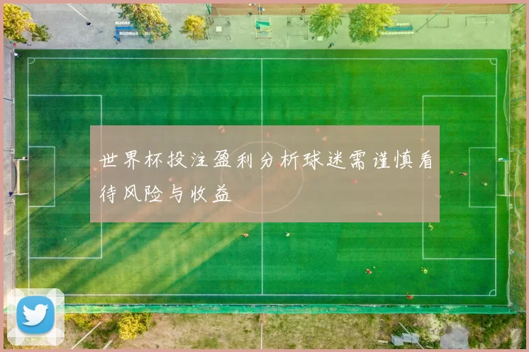 世界杯投注盈利分析球迷需谨慎看待风险与收益